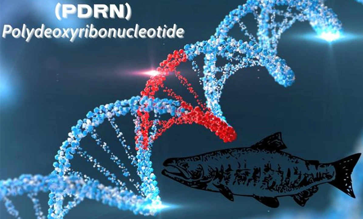 PDRN SALMON